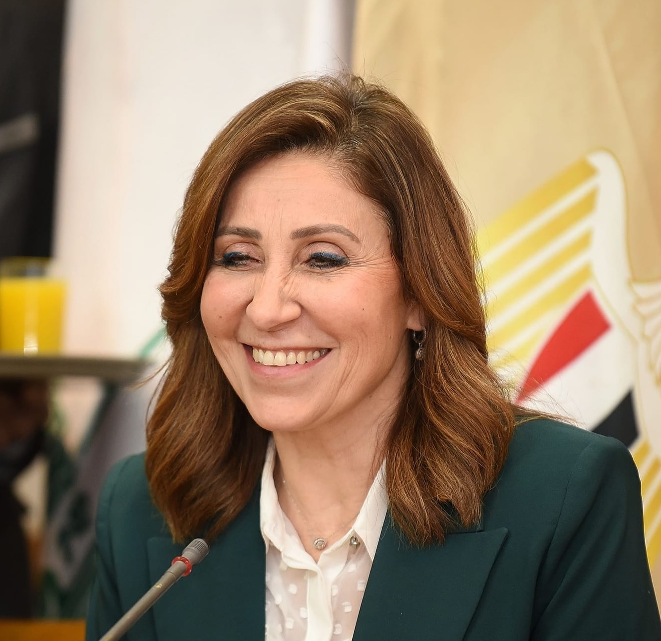  إعتماد تقرير عن لجنة " ثقافة القانون والمواطنة وحقوق الإنسان" بالأعلى للثقافة بعد عامها الأول 
